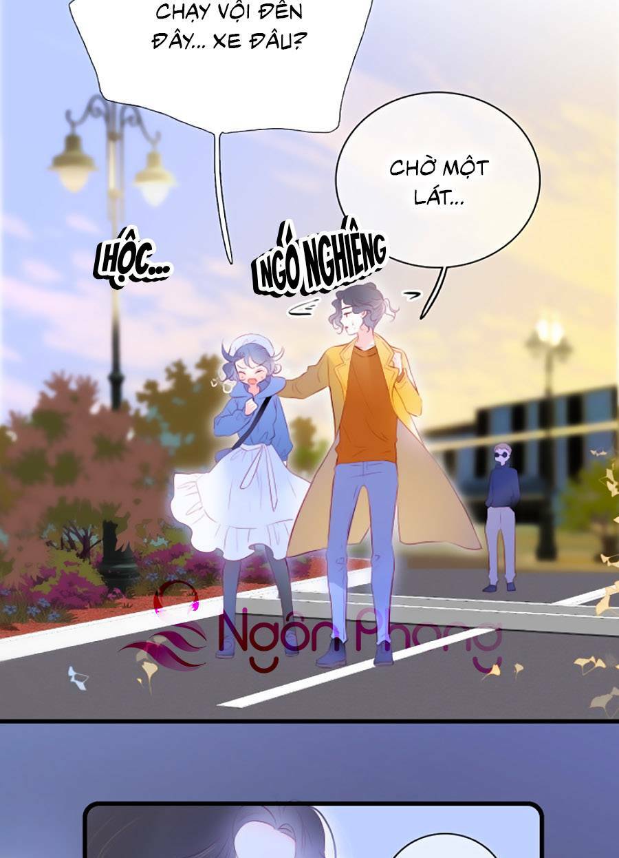 Hoa Bỏ Chạy Với Nhím Rồi Chapter 41 - Trang 2