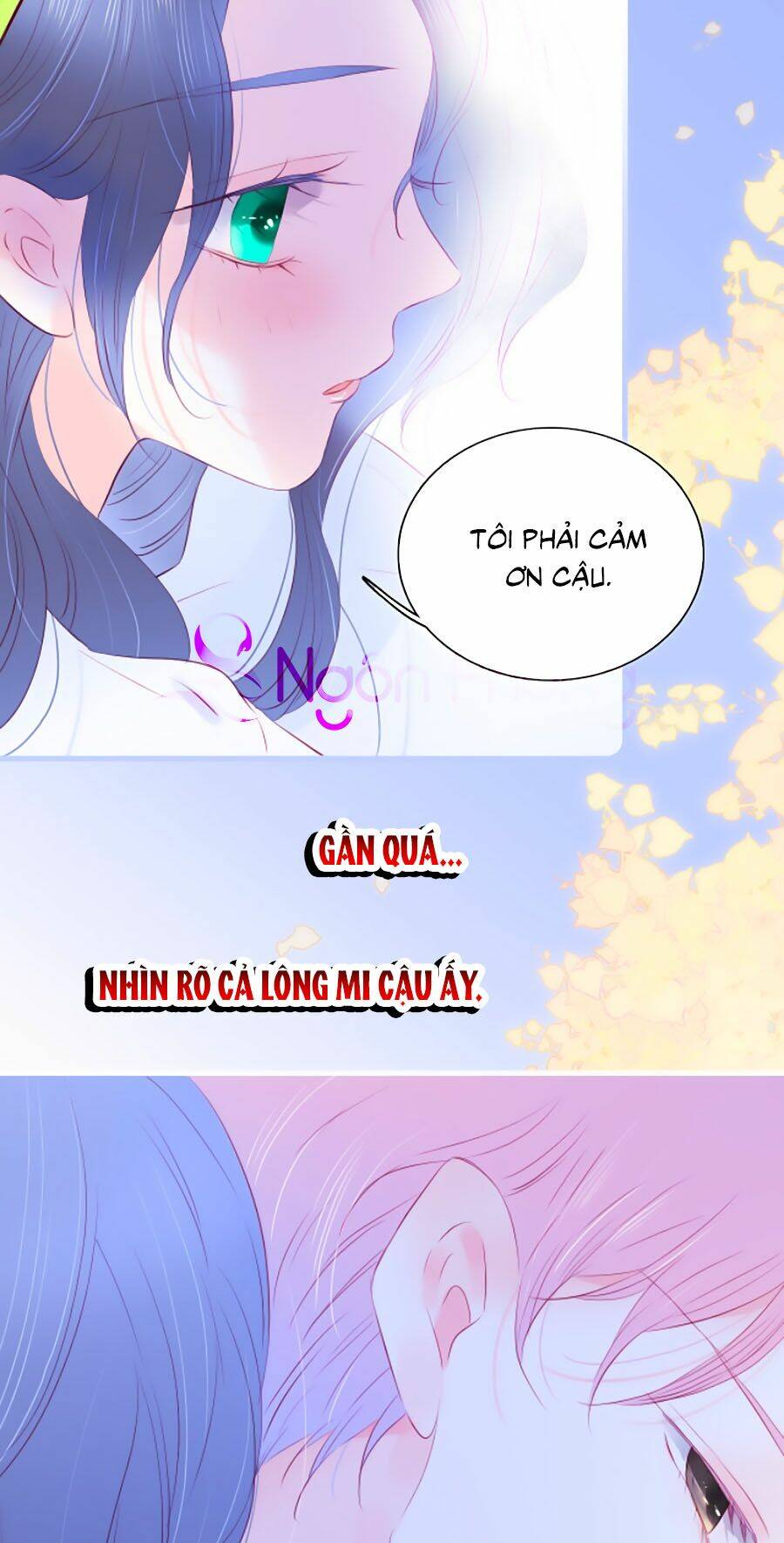 Hoa Bỏ Chạy Với Nhím Rồi Chapter 28 - Trang 2