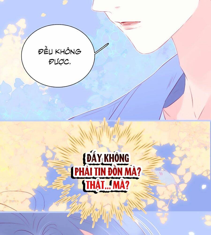 Hoa Bỏ Chạy Với Nhím Rồi Chapter 19 - Trang 2