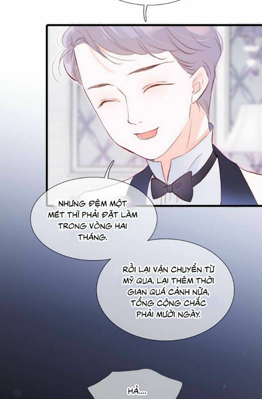 Hoa Bỏ Chạy Với Nhím Rồi Chapter 3 - Trang 2