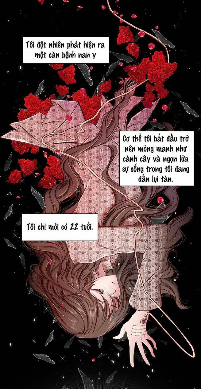 Trở Thành Tiểu Thư Xấu Xí Chapter 1 - Trang 2