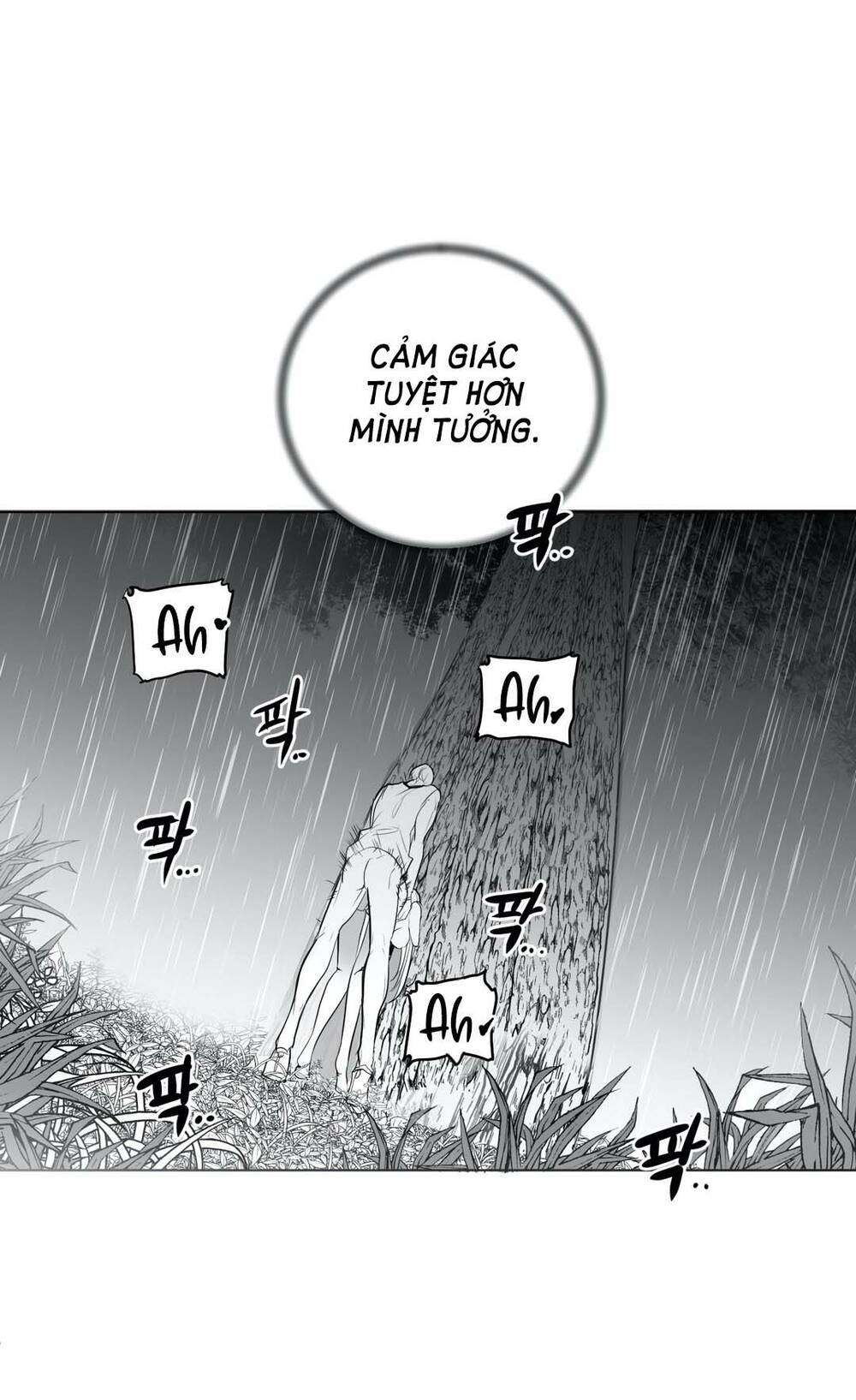 Độc Lạ Dungeon Chapter 32 - Trang 2