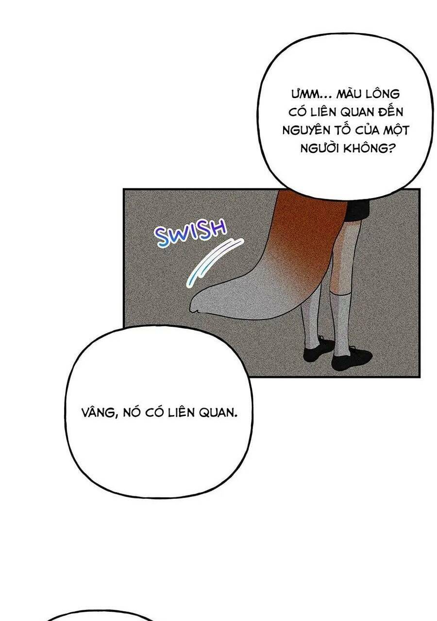 Con Gái Của Đại Pháp Sư Chapter 95 - Trang 2