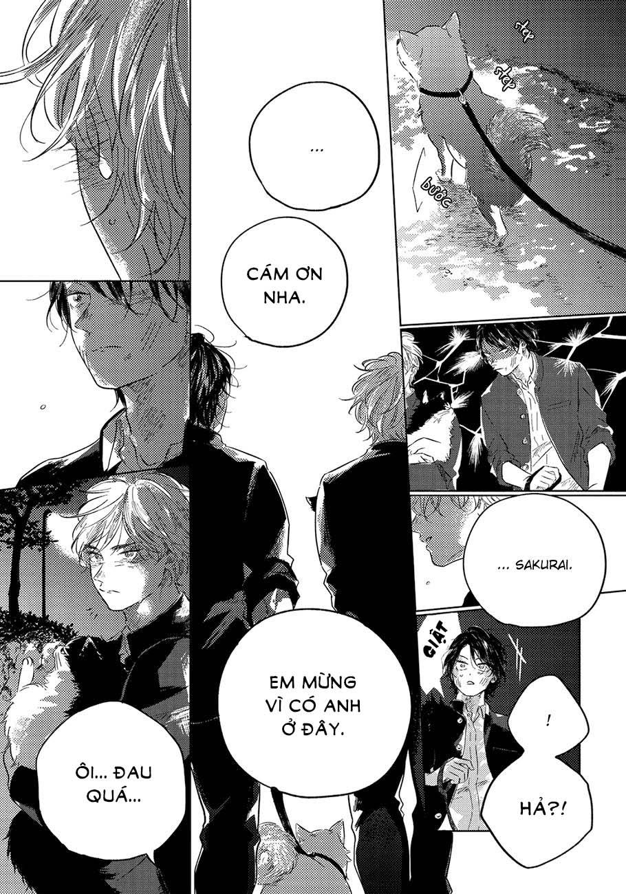 Bokura No Tsuzuki Chapter 5 - Trang 2