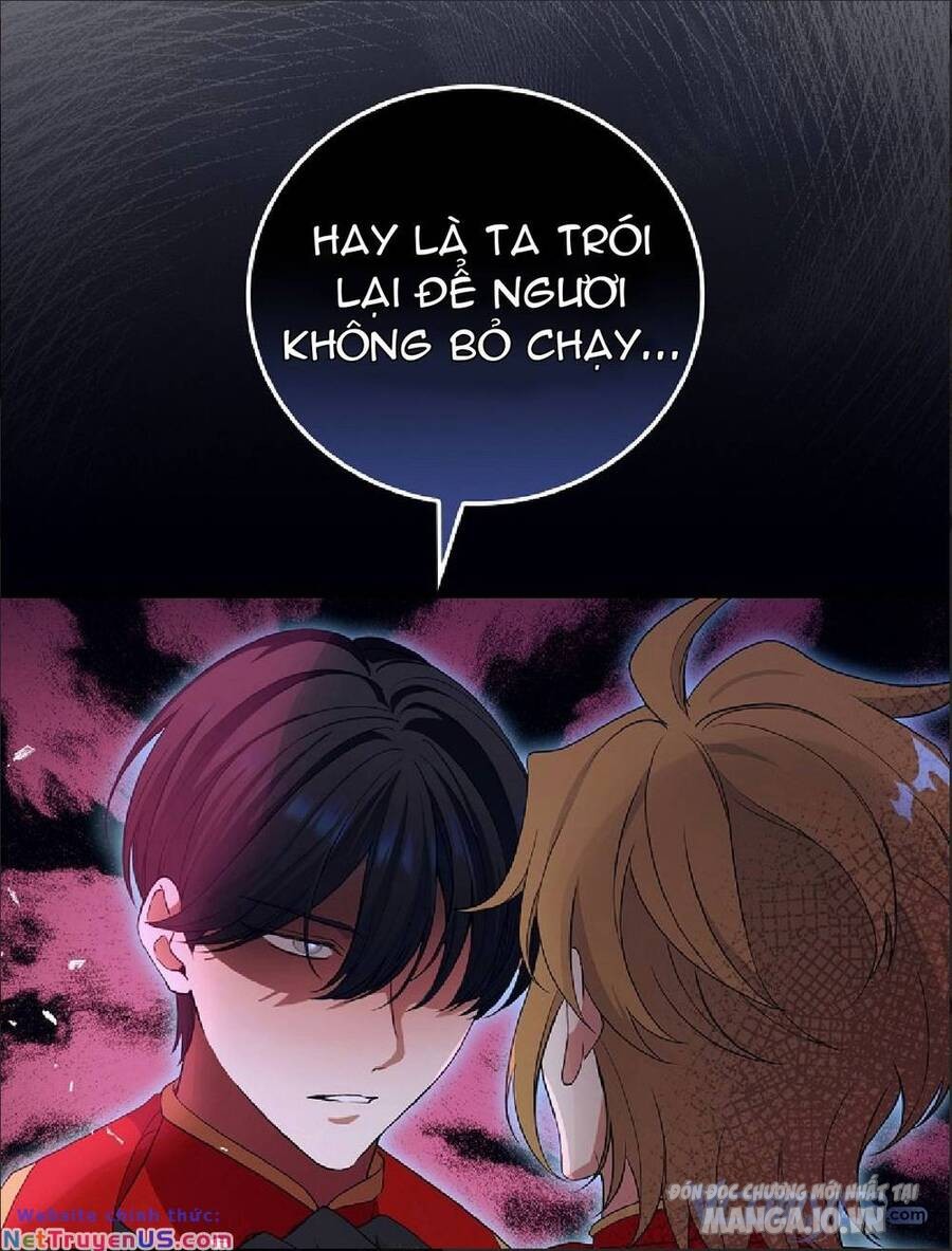 Hiệp Sĩ Hoa Băng Chapter 67 - Trang 2