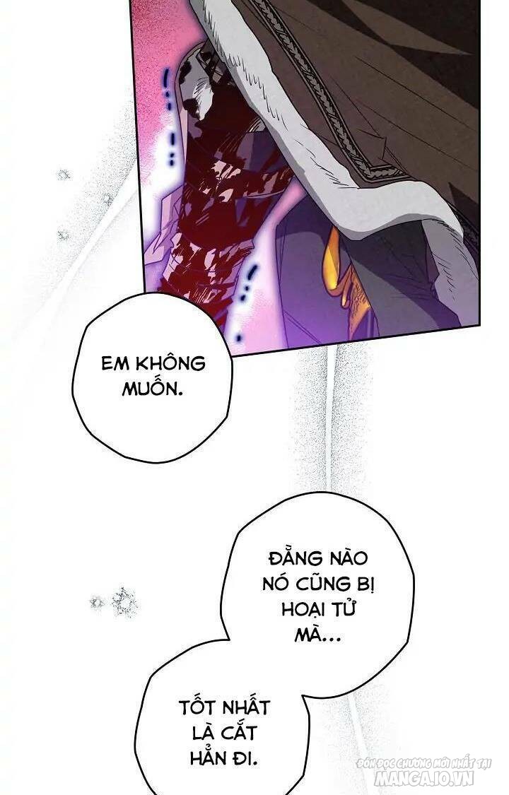 Hiệp Sĩ Hoa Băng Chapter 64 - Trang 2