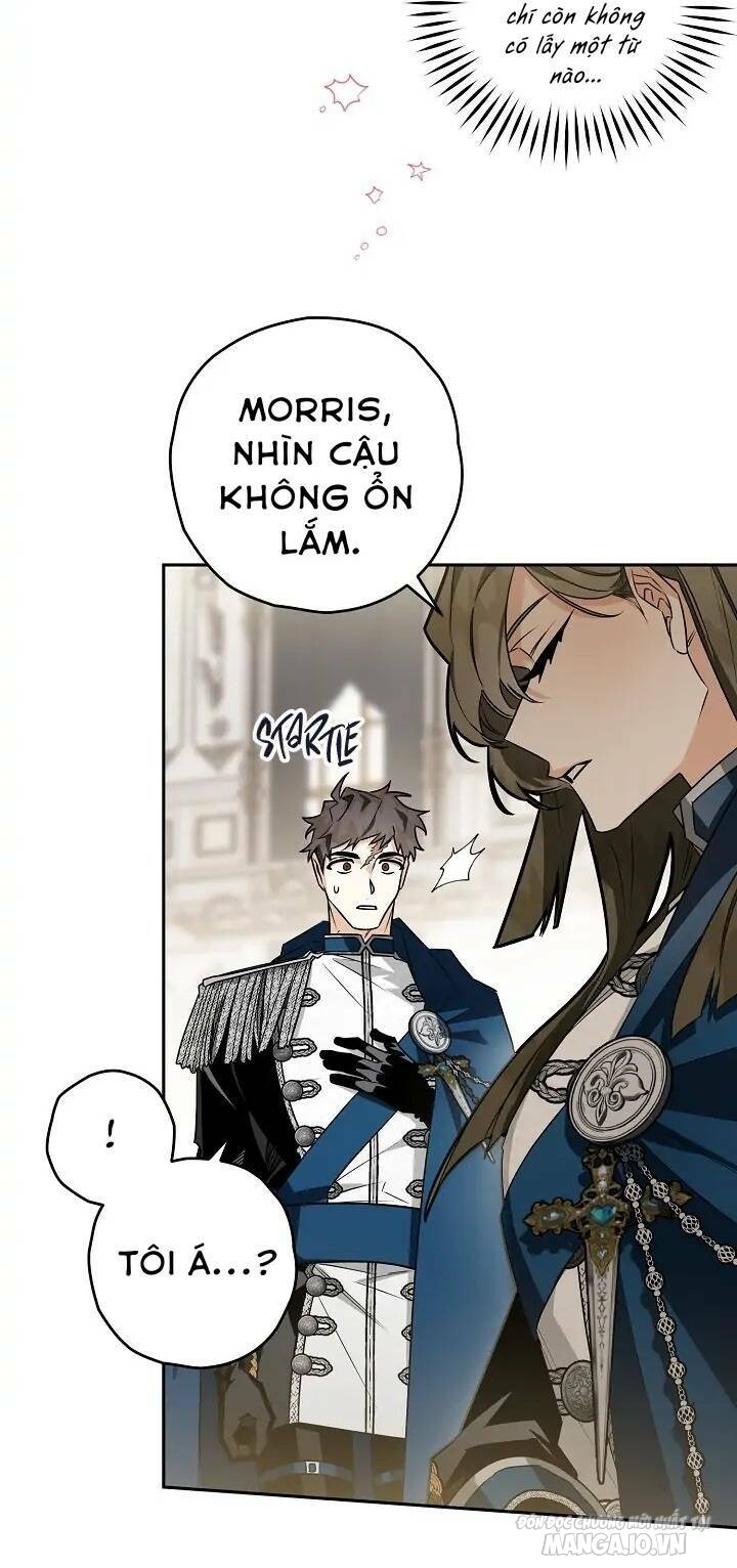 Hiệp Sĩ Hoa Băng Chapter 60 - Trang 2