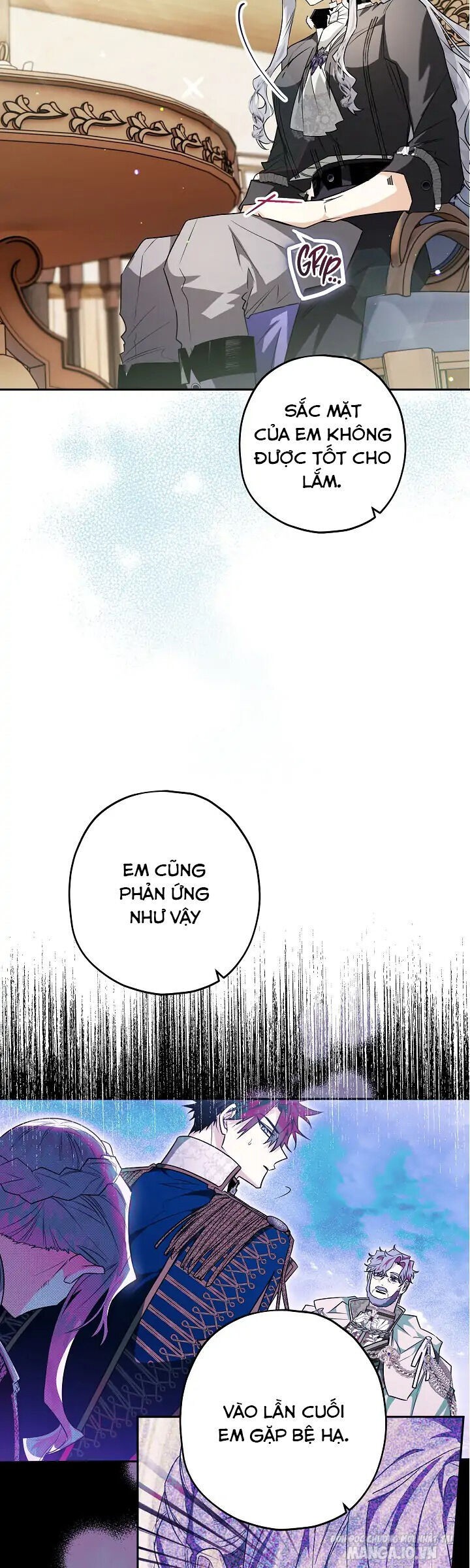 Hiệp Sĩ Hoa Băng Chapter 50 - Trang 2