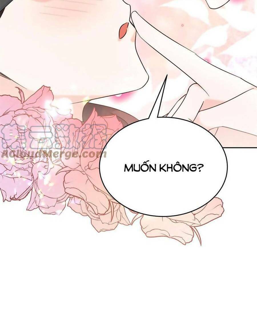 Hot Boy Quốc Dân Là Nữ Chapter 318 - Trang 2