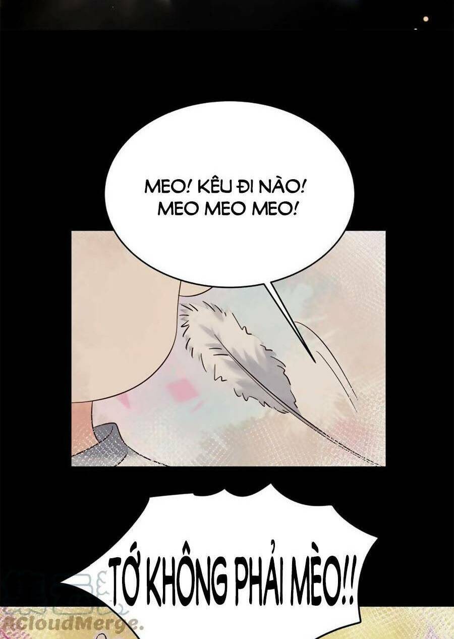 Hot Boy Quốc Dân Là Nữ Chapter 318 - Trang 2