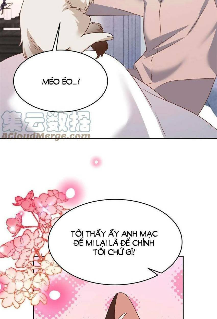 Hot Boy Quốc Dân Là Nữ Chapter 304 - Trang 2