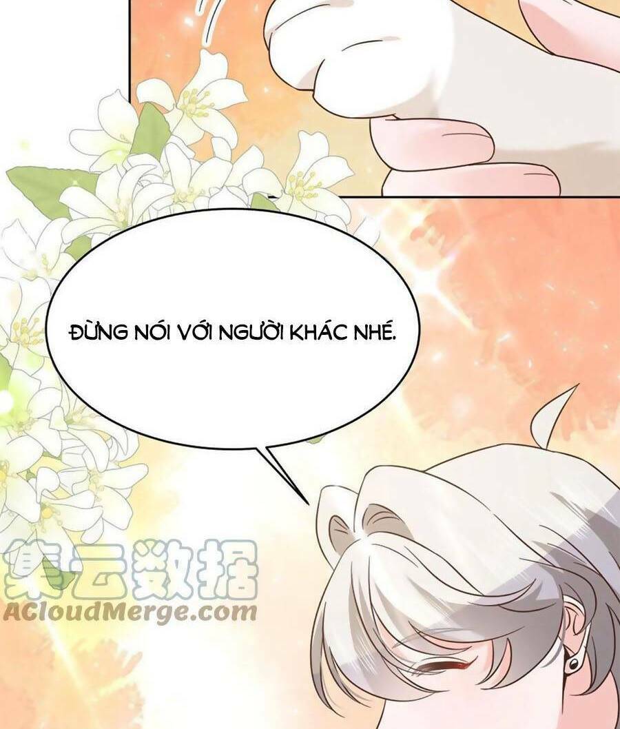 Hot Boy Quốc Dân Là Nữ Chapter 301 - Trang 2