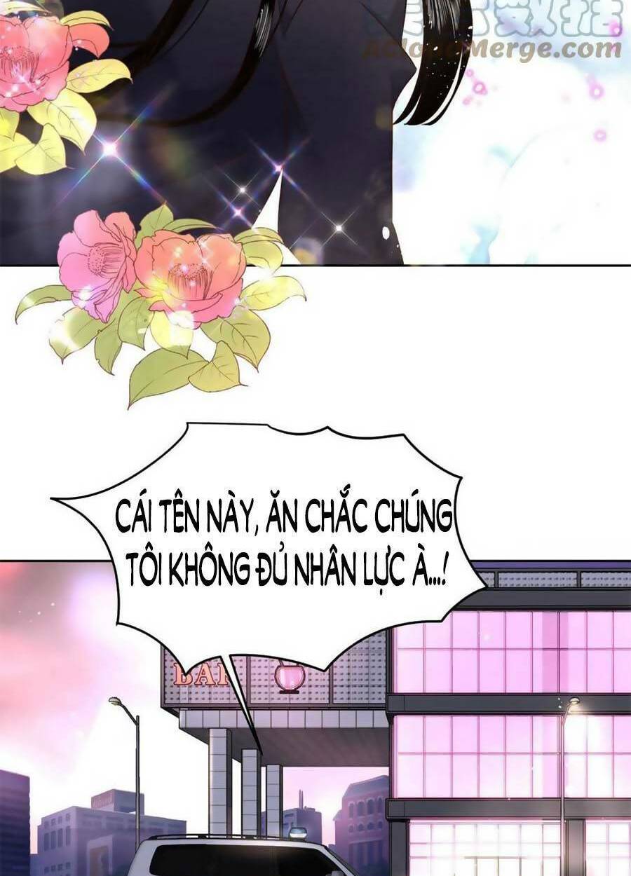 Hot Boy Quốc Dân Là Nữ Chapter 280 - Trang 2