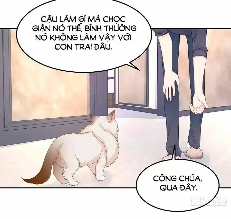 Hot Boy Quốc Dân Là Nữ Chapter 51 - Trang 2