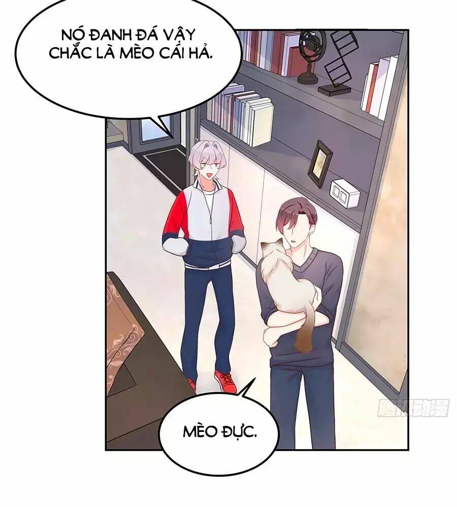 Hot Boy Quốc Dân Là Nữ Chapter 51 - Trang 2