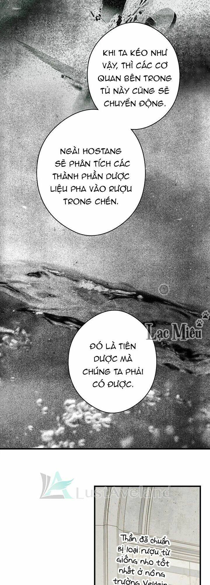 Bí Mật Của Quý Cô Chapter 26.5 - Trang 2