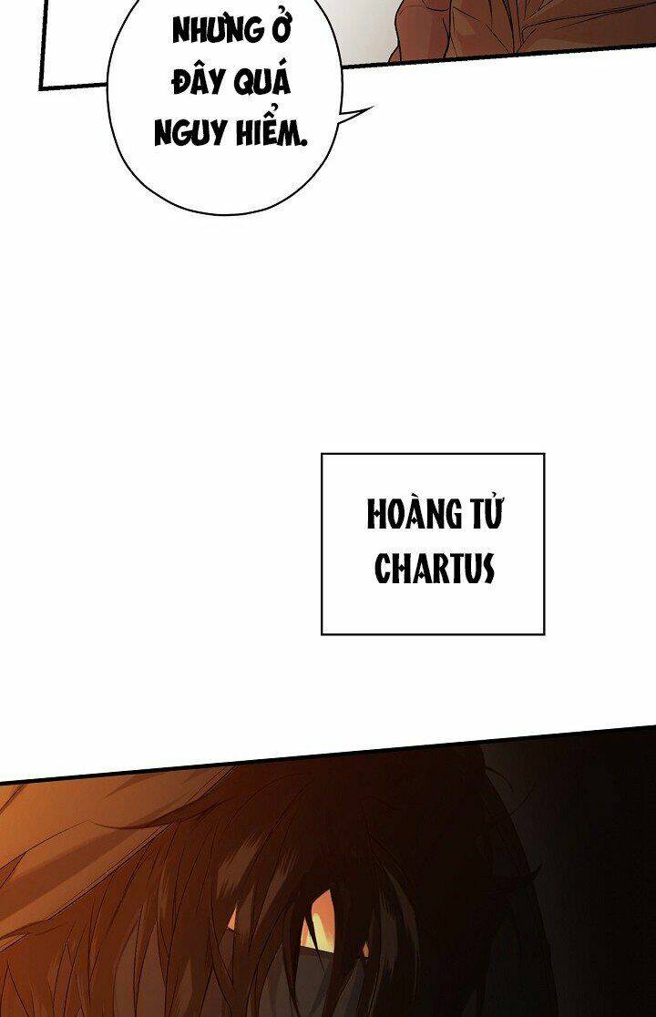 Bí Mật Của Quý Cô Chapter 19 - Trang 2