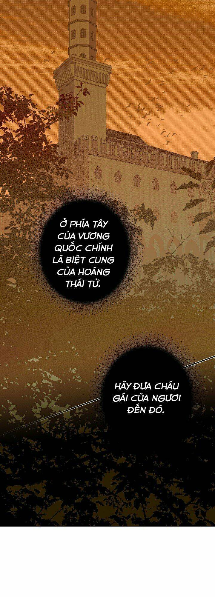 Bí Mật Của Quý Cô Chapter 7 - Trang 2