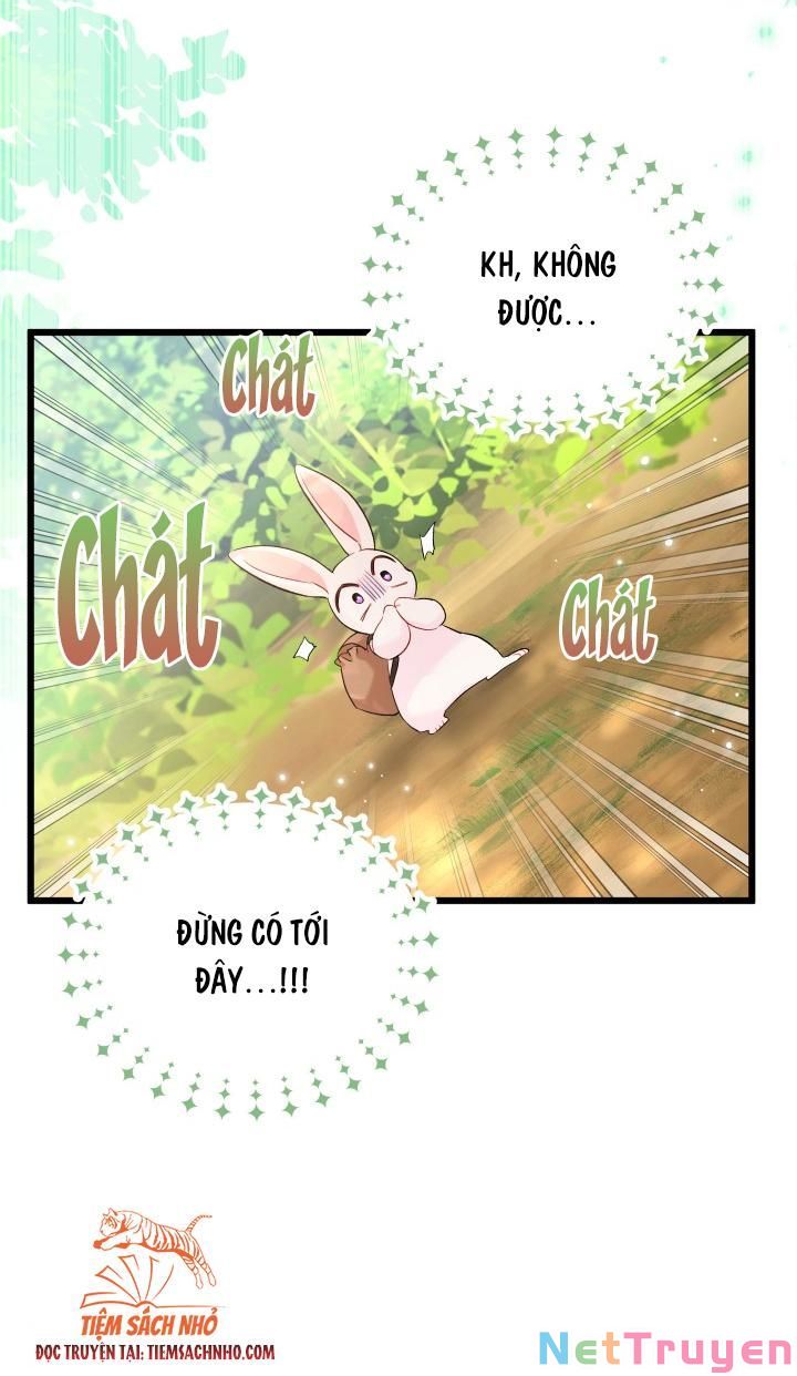 Quan Hệ Công Sinh Giữa Hắc Báo Và Bạch Thỏ Chapter 61 - Trang 2