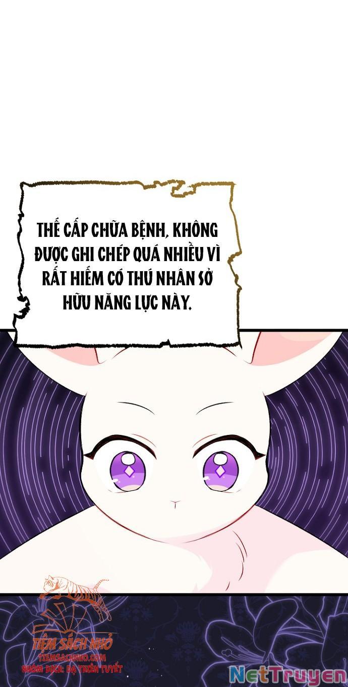 Quan Hệ Công Sinh Giữa Hắc Báo Và Bạch Thỏ Chapter 47 - Trang 2