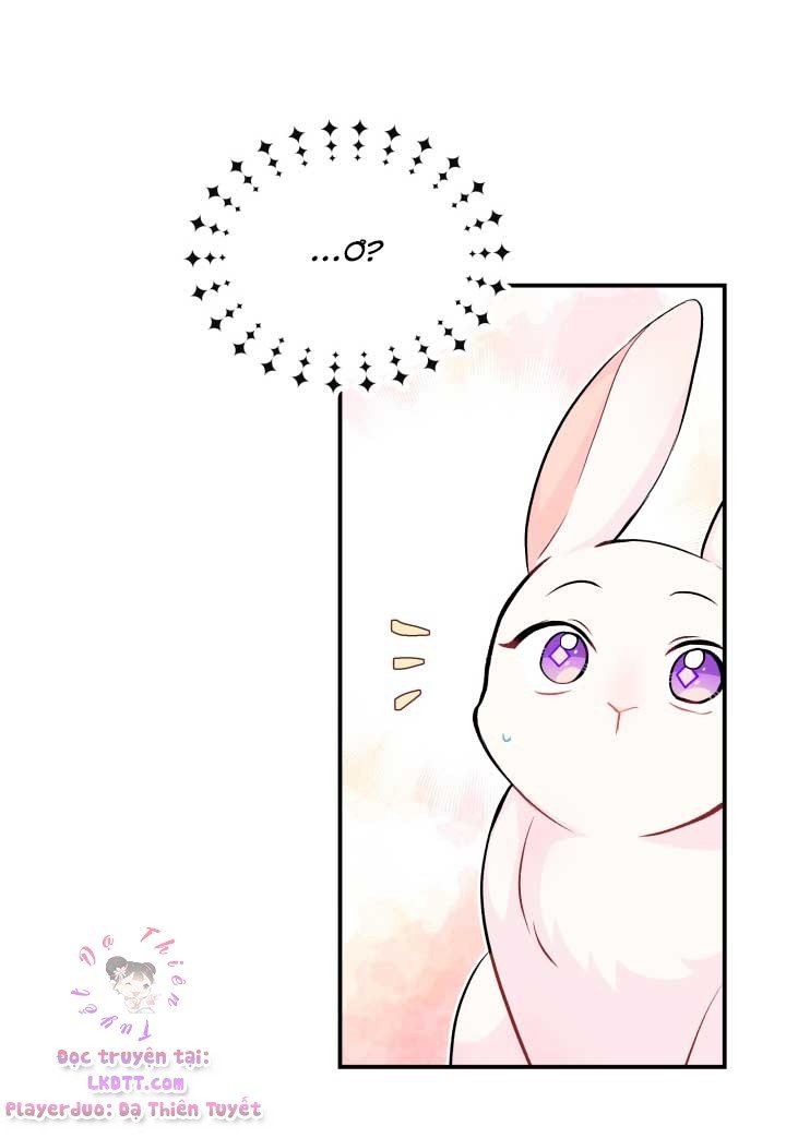 Quan Hệ Công Sinh Giữa Hắc Báo Và Bạch Thỏ Chapter 3 - Trang 2