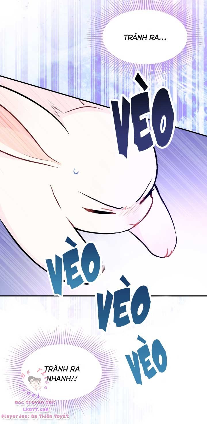 Quan Hệ Công Sinh Giữa Hắc Báo Và Bạch Thỏ Chapter 3 - Trang 2