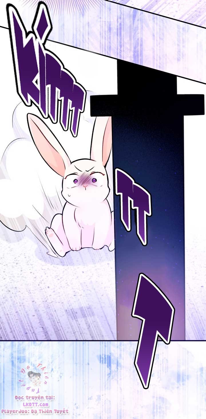 Quan Hệ Công Sinh Giữa Hắc Báo Và Bạch Thỏ Chapter 3 - Trang 2