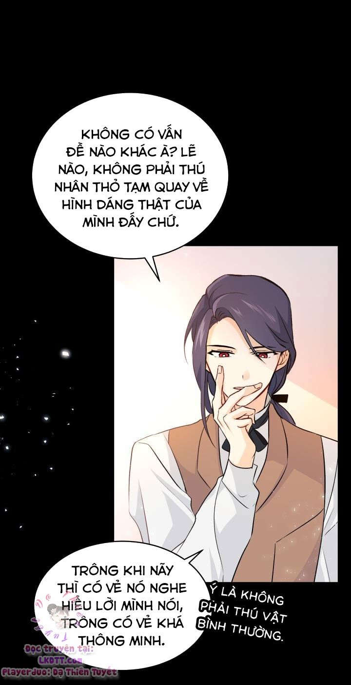 Quan Hệ Công Sinh Giữa Hắc Báo Và Bạch Thỏ Chapter 2 - Trang 2