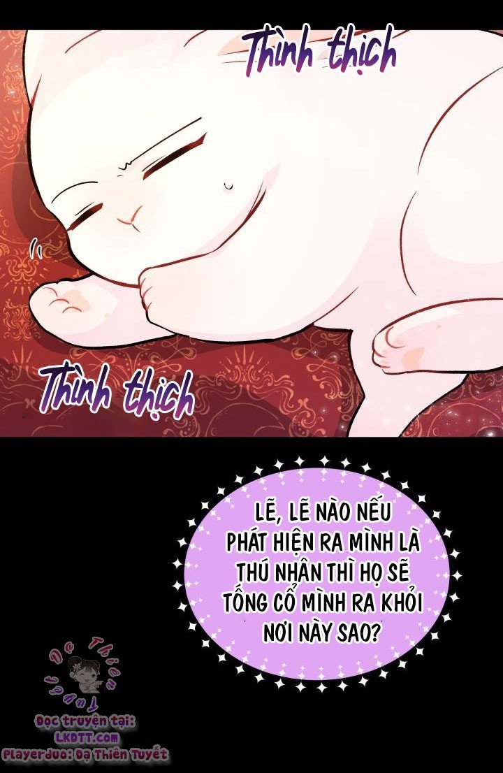 Quan Hệ Công Sinh Giữa Hắc Báo Và Bạch Thỏ Chapter 2 - Trang 2