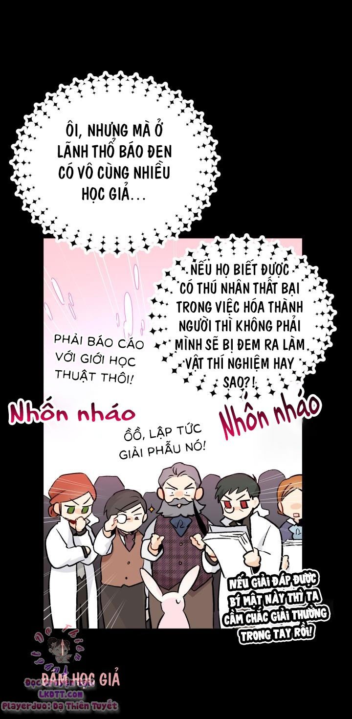 Quan Hệ Công Sinh Giữa Hắc Báo Và Bạch Thỏ Chapter 2 - Trang 2