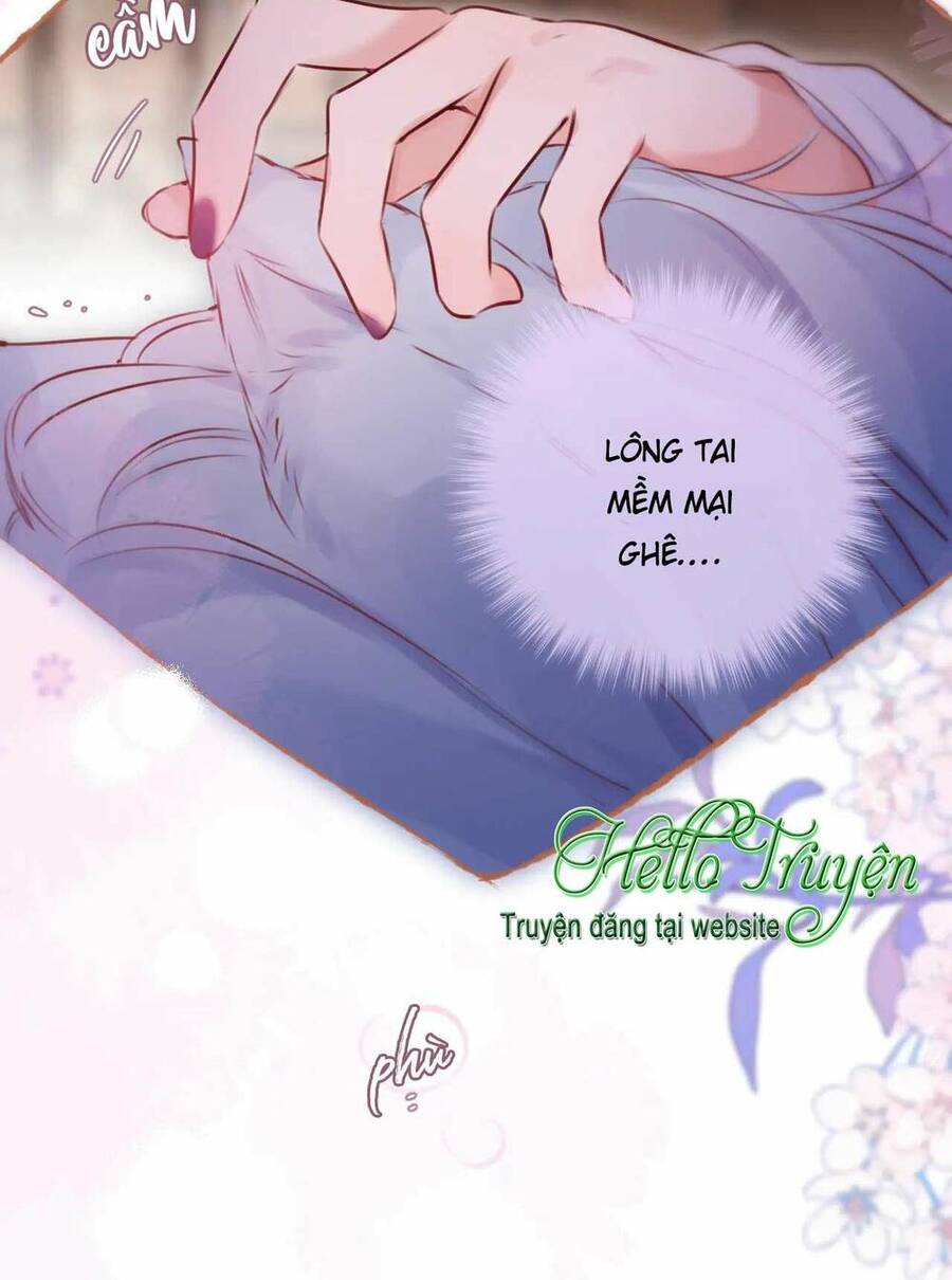 Cạm Bẫy Của Hồ Ly Chapter 66 - Trang 2