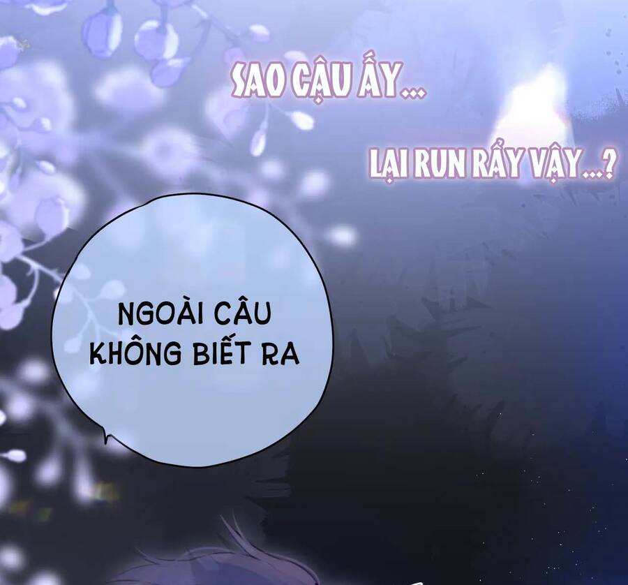 Cạm Bẫy Của Hồ Ly Chapter 47 - Trang 2