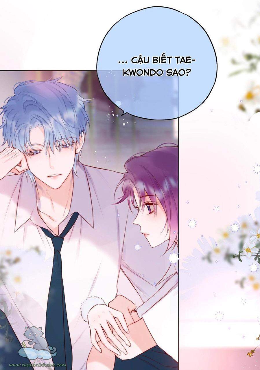 Cạm Bẫy Của Hồ Ly Chapter 16 - Trang 2