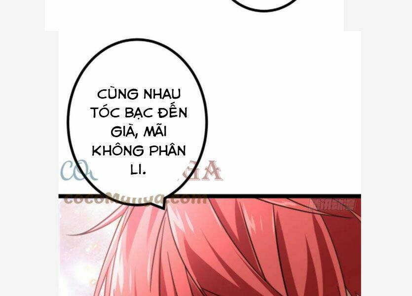 Cái Bóng Vạn Năng Chapter 68 - Trang 2