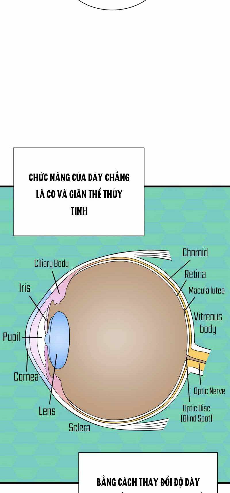 Bác Sĩ Phẫu Thuật Hoàn Hảo Chapter 6 - Trang 2