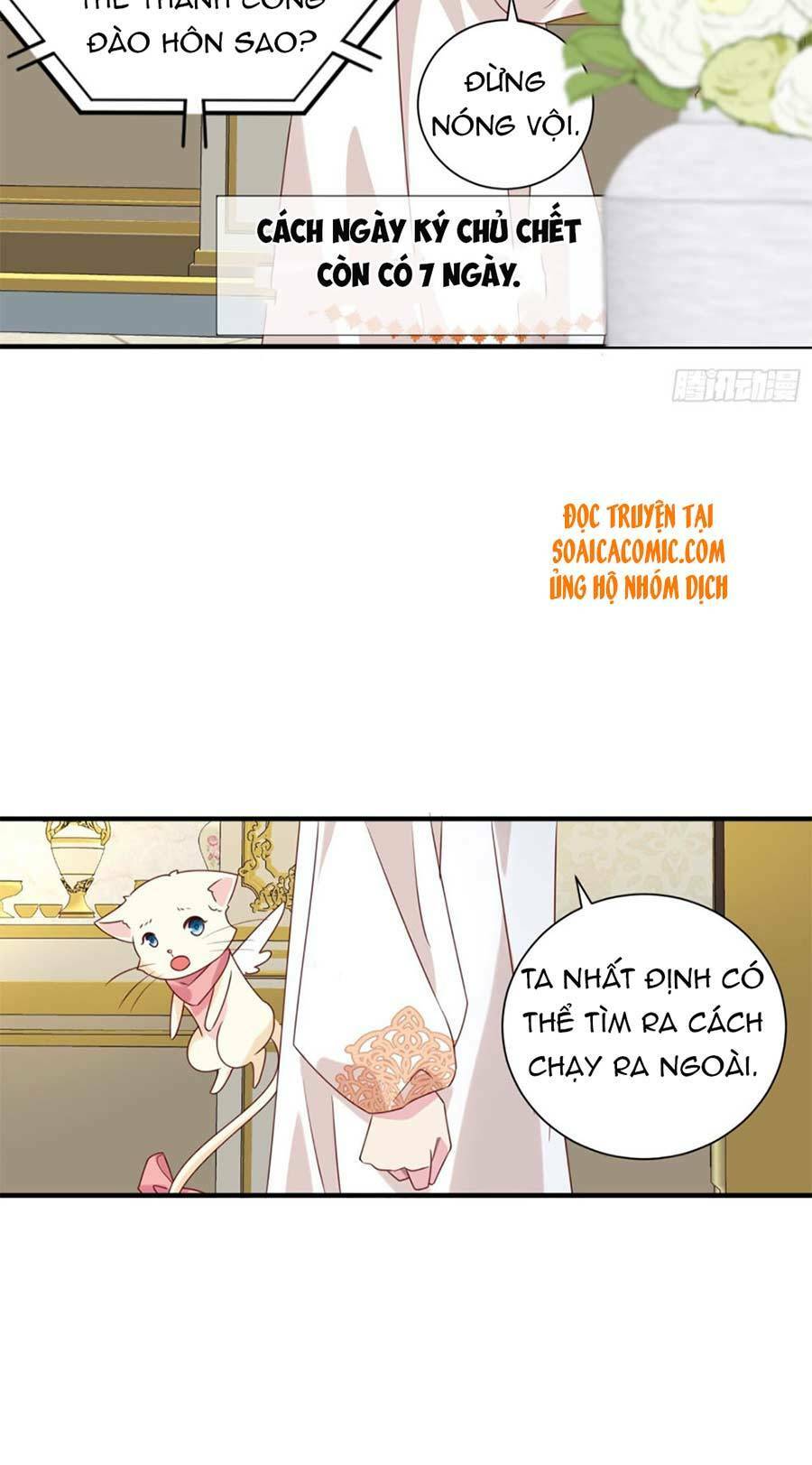 Dã Nam Nhân Đều Muốn Gả Cho Ta Chapter 14 - Trang 2