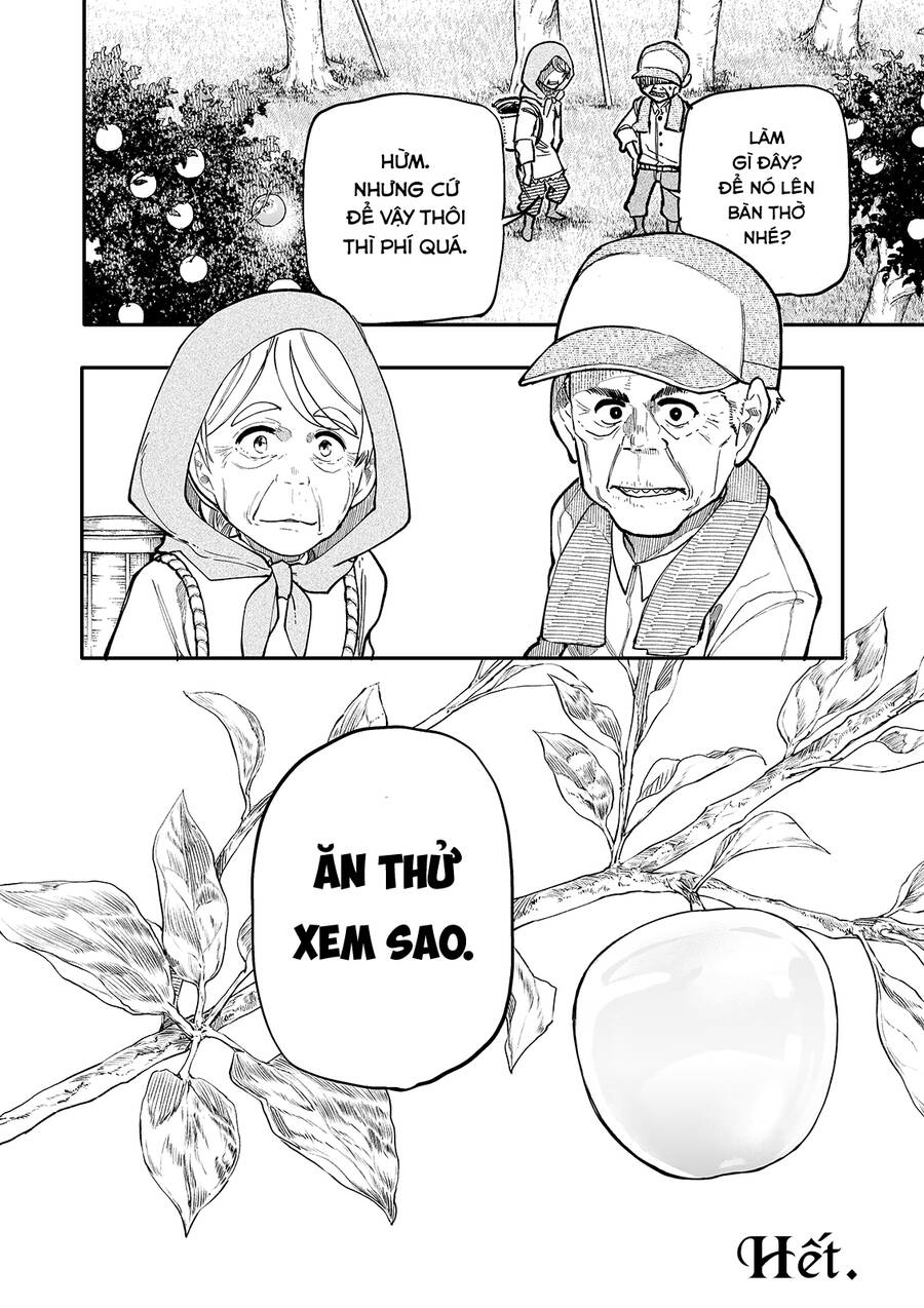 A Story About A Granpa And Granma Returned Back To Their Youth Chapter 198 - Trang 2