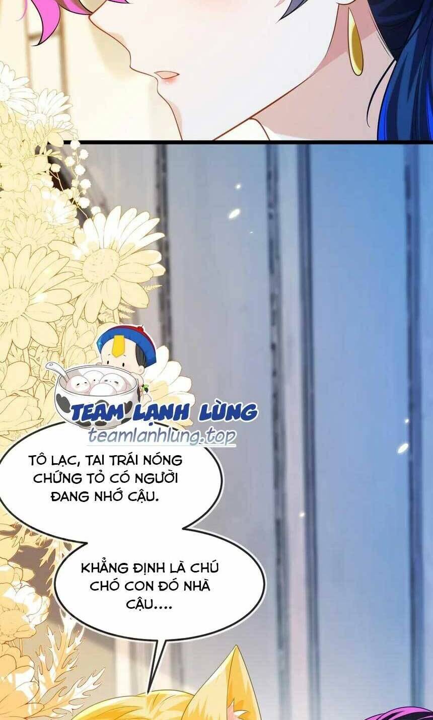 Vừa Mới Huỷ Hôn Đã Bị Dã Hồ Ly Lừa Kết Hôn Chapter 42 - Trang 2