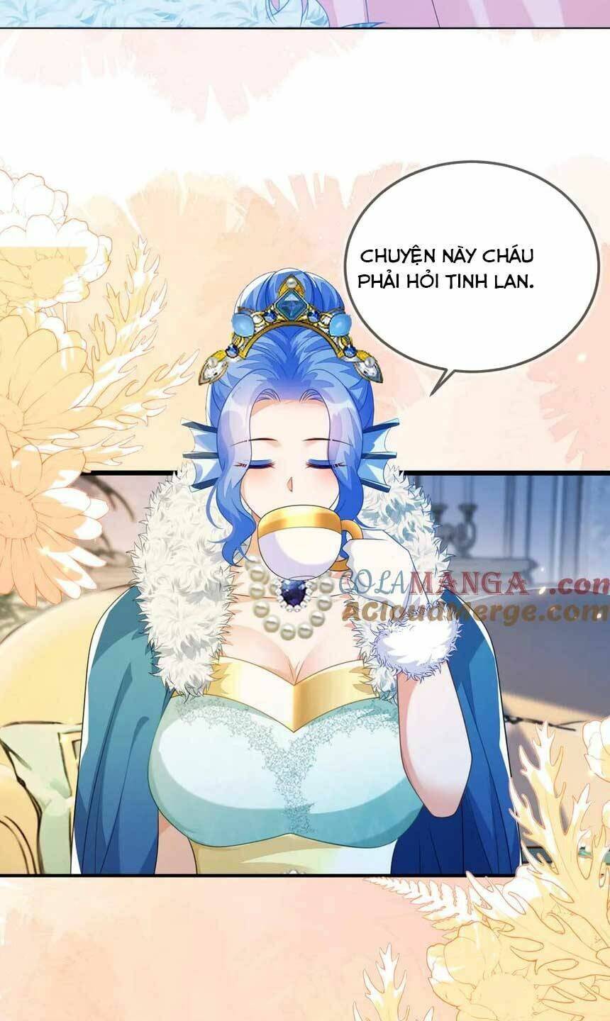 Vừa Mới Huỷ Hôn Đã Bị Dã Hồ Ly Lừa Kết Hôn Chapter 42 - Trang 2