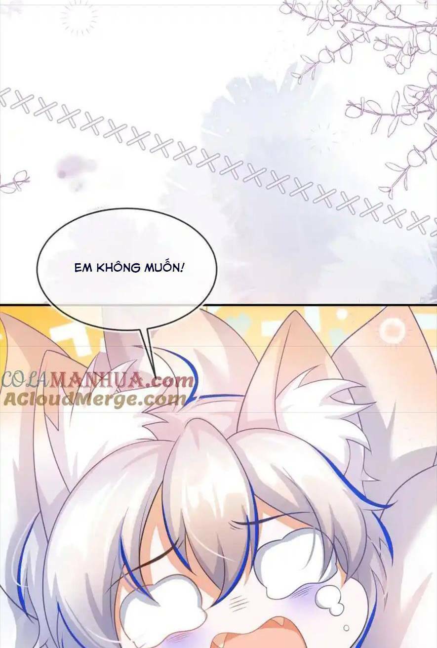 Vừa Mới Huỷ Hôn Đã Bị Dã Hồ Ly Lừa Kết Hôn Chapter 27 - Trang 2