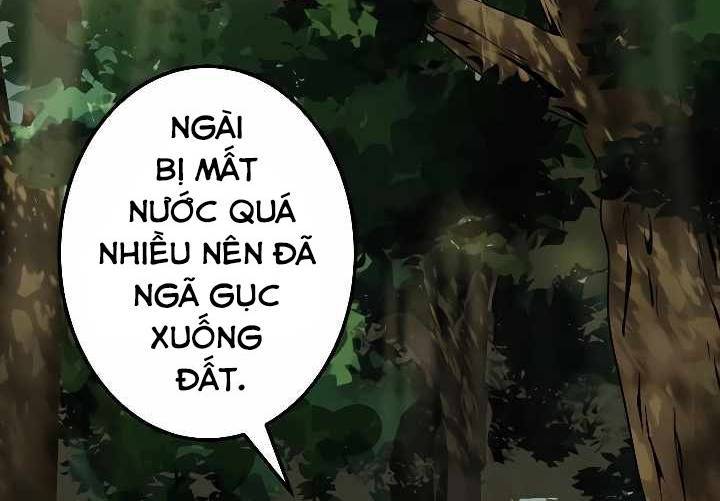 Xạ Thủ Bóng Tối Bất Khả Chiến Bại Bị Trục Xuất Chapter 8 - Trang 2