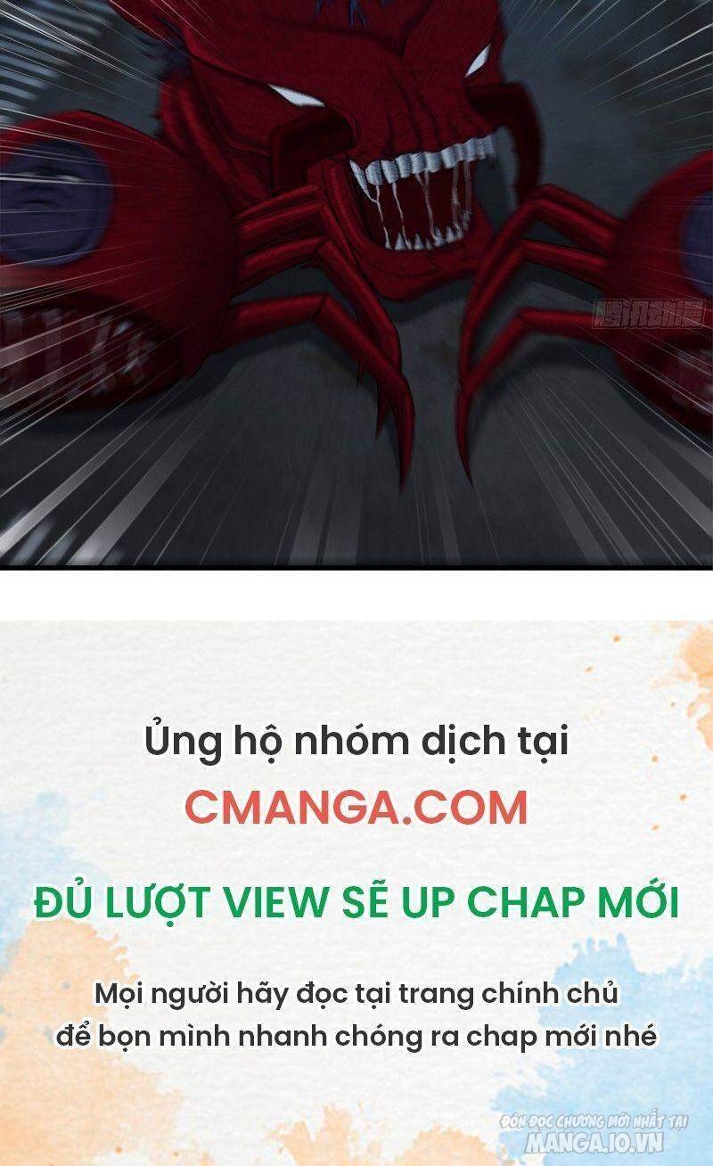 Tôi Chuyển Vàng Tại Mạt Thế Chapter 211 - Trang 2