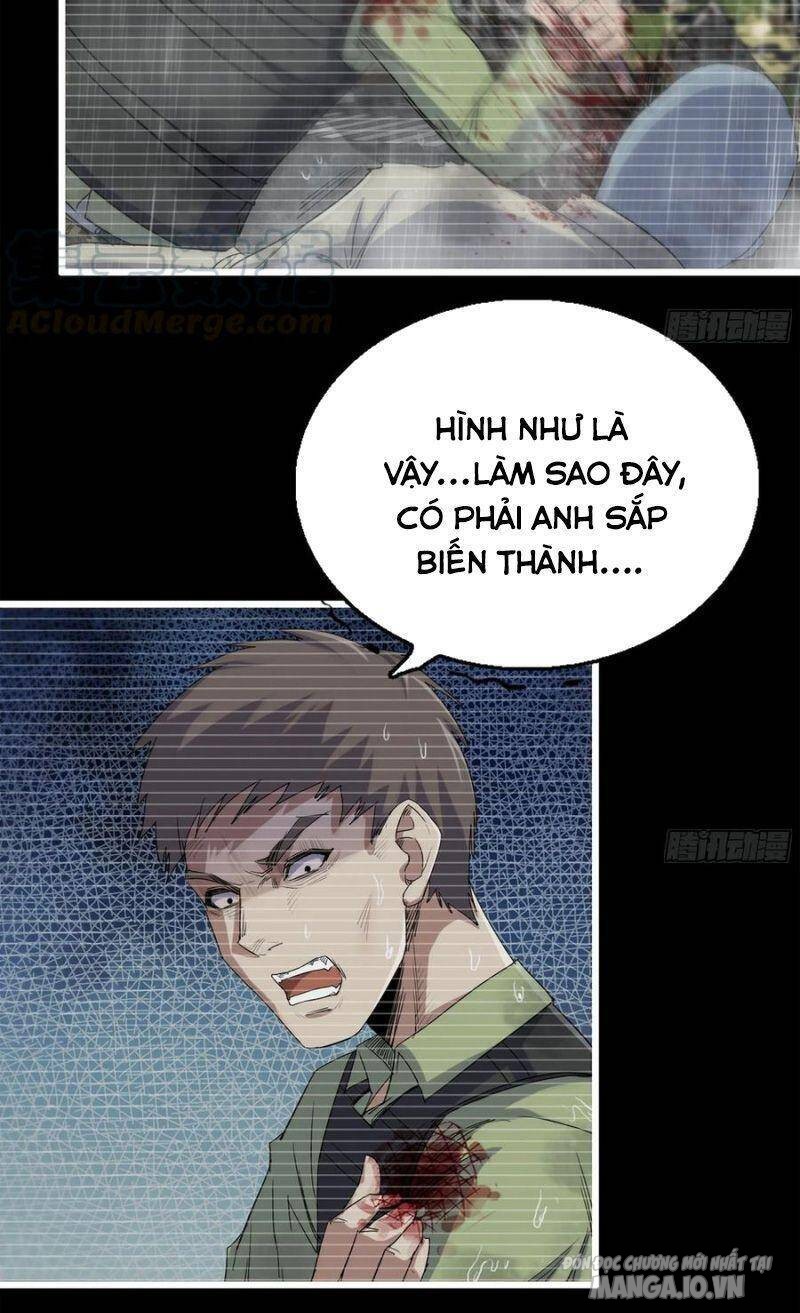 Tôi Chuyển Vàng Tại Mạt Thế Chapter 131 - Trang 2