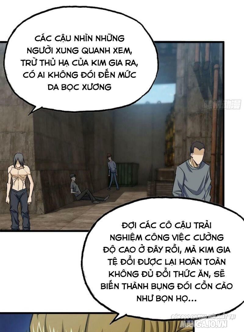 Tôi Chuyển Vàng Tại Mạt Thế Chapter 62 - Trang 2