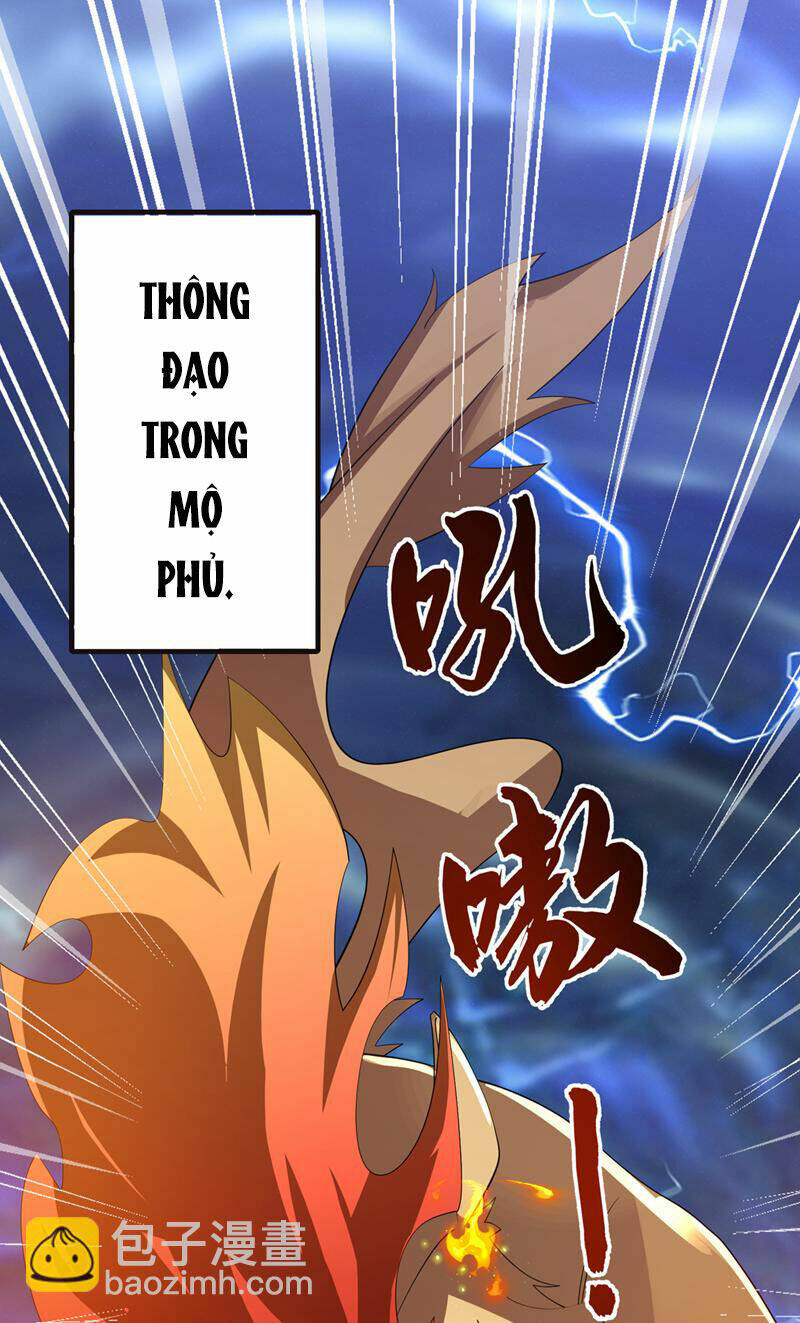 Võ Nghịch Chapter 482 - Trang 2