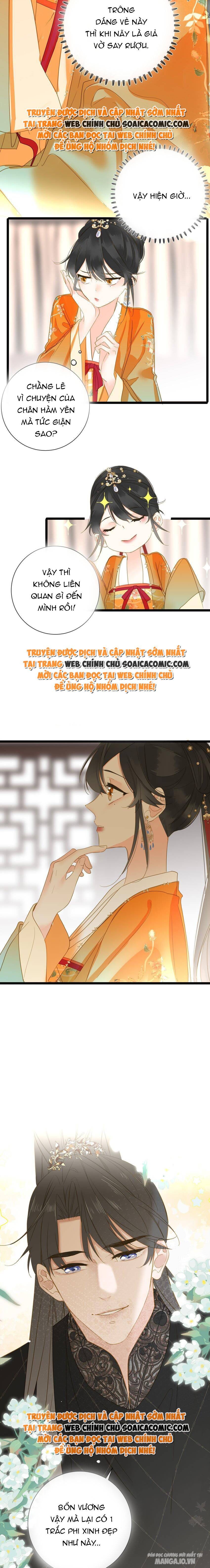 Vương Gia Yêu Ta Thành Nghiện Chapter 48 - Trang 2