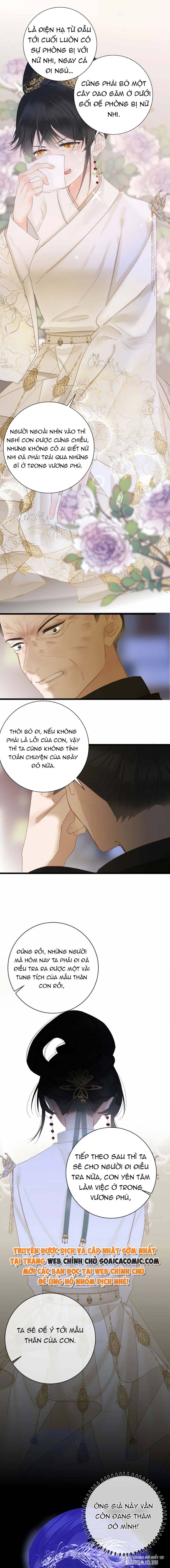 Vương Gia Yêu Ta Thành Nghiện Chapter 16 - Trang 2