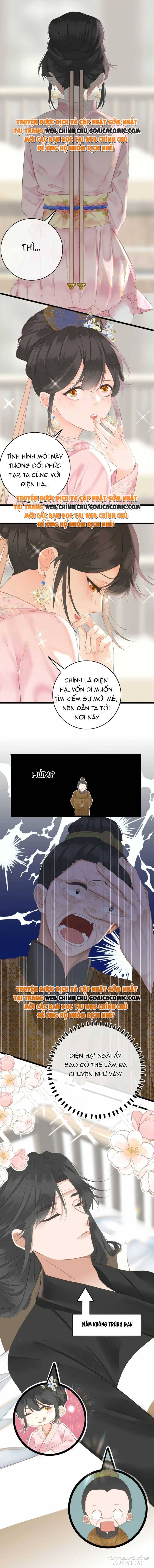 Vương Gia Yêu Ta Thành Nghiện Chapter 2 - Trang 2