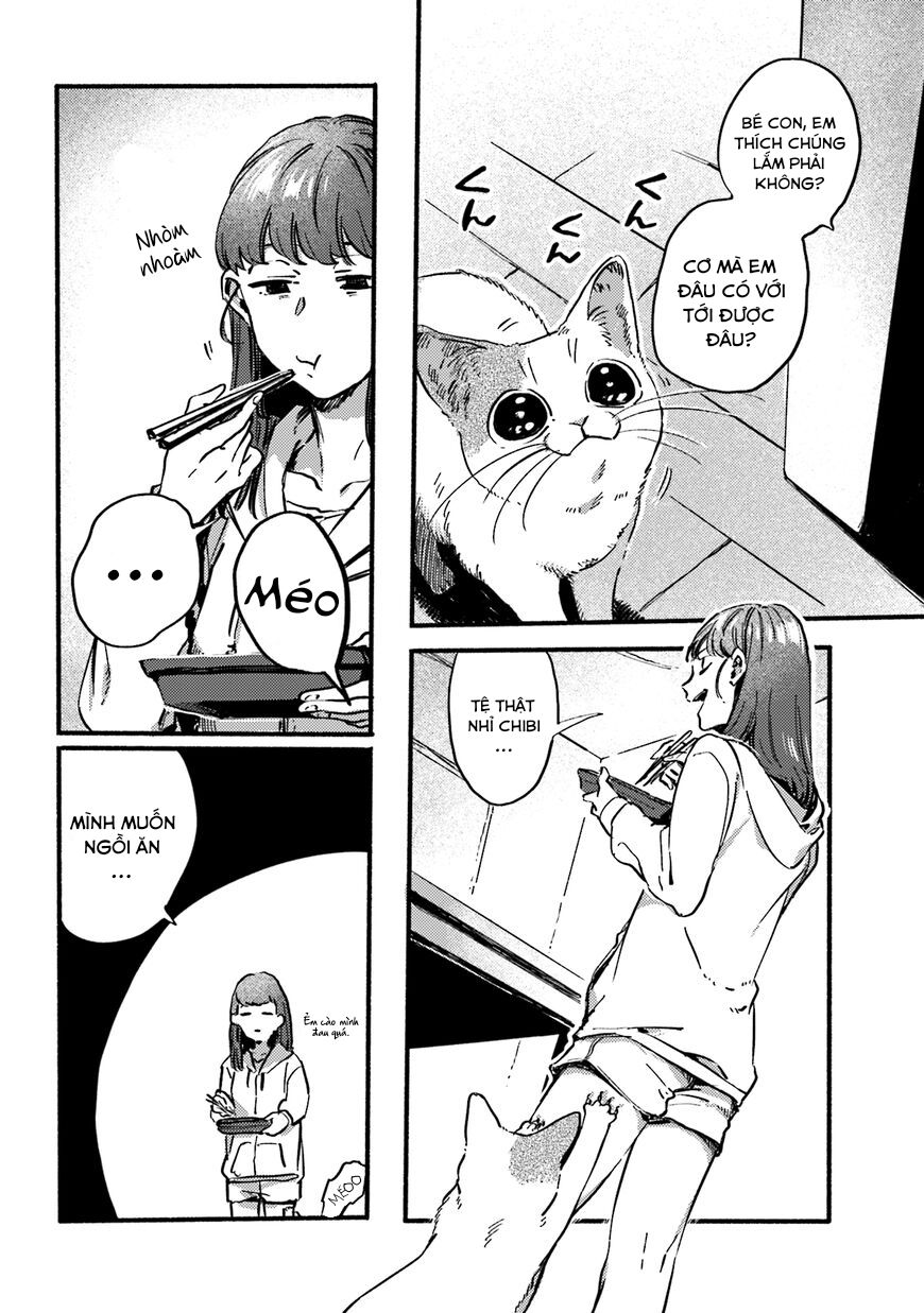 Nekodamari Chapter 13 - Trang 2