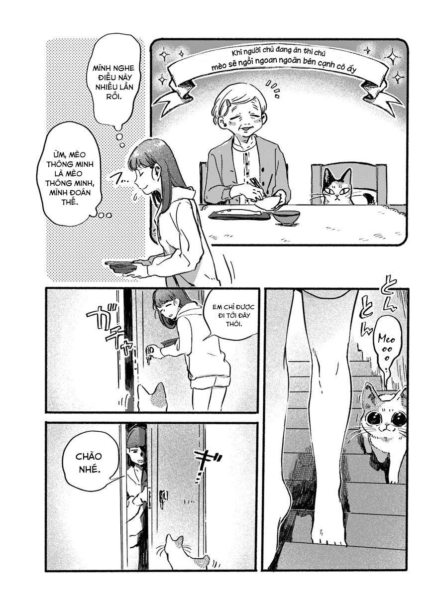 Nekodamari Chapter 13 - Trang 2